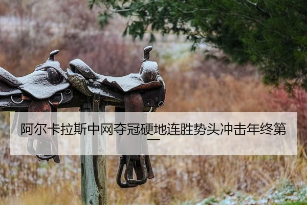 a-er-ka-la-si-zhong-wang-duo-guan-ying-di-lian-sheng-shi-tou-chong-ji-nian-zhong-di-yi-2-301.jpg