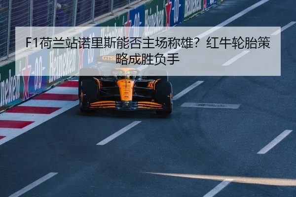 he-lan-zhan-nuo-li-si-neng-fou-zhu-chang-cheng-xiong-hong-niu-lun-tai-ce-lve-cheng-sheng-fu-shou-2-389.jpg