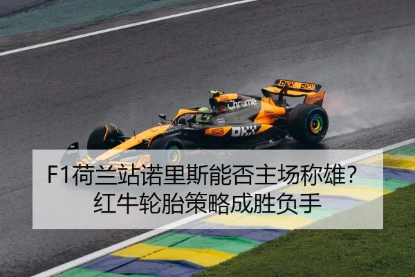 he-lan-zhan-nuo-li-si-neng-fou-zhu-chang-cheng-xiong-hong-niu-lun-tai-ce-lve-cheng-sheng-fu-shou-3-415.jpg