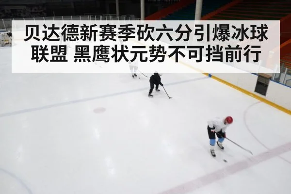 ice hockey rink